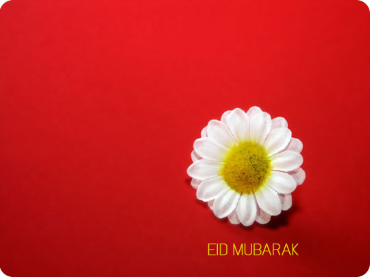 A silk daisy on red background